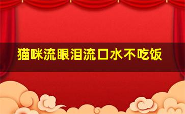 猫咪流眼泪流口水不吃饭