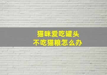 猫咪爱吃罐头不吃猫粮怎么办