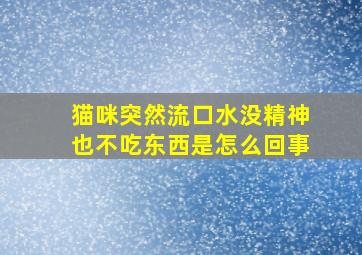 猫咪突然流口水没精神也不吃东西是怎么回事