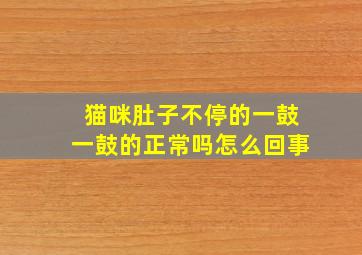 猫咪肚子不停的一鼓一鼓的正常吗怎么回事