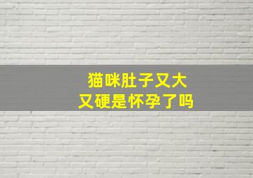 猫咪肚子又大又硬是怀孕了吗