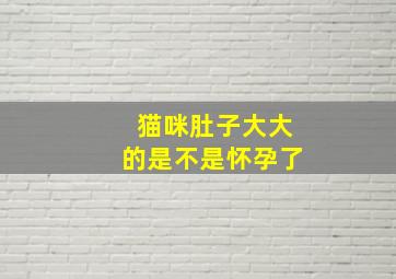 猫咪肚子大大的是不是怀孕了