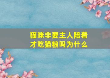 猫咪非要主人陪着才吃猫粮吗为什么