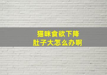 猫咪食欲下降肚子大怎么办啊