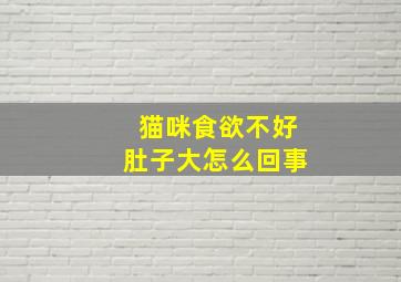 猫咪食欲不好肚子大怎么回事