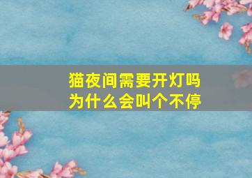 猫夜间需要开灯吗为什么会叫个不停