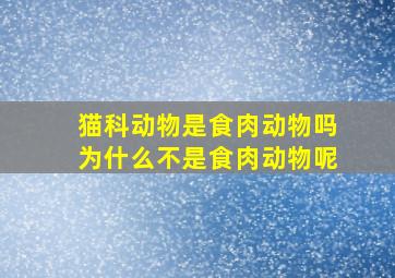 猫科动物是食肉动物吗为什么不是食肉动物呢