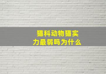 猫科动物猫实力最弱吗为什么