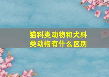 猫科类动物和犬科类动物有什么区别