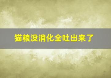 猫粮没消化全吐出来了