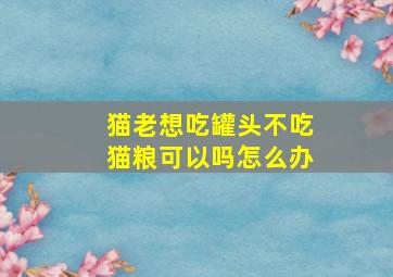 猫老想吃罐头不吃猫粮可以吗怎么办