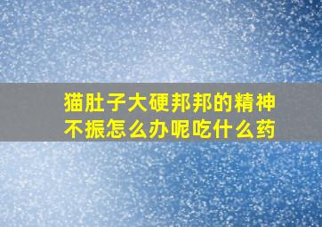 猫肚子大硬邦邦的精神不振怎么办呢吃什么药