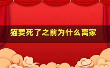 猫要死了之前为什么离家