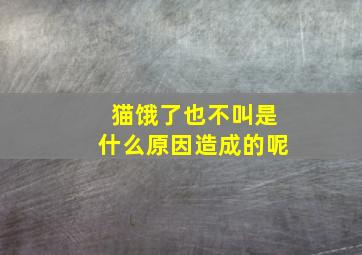 猫饿了也不叫是什么原因造成的呢