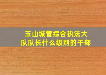 玉山城管综合执法大队队长什么级别的干部