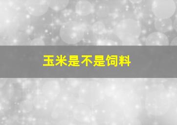 玉米是不是饲料