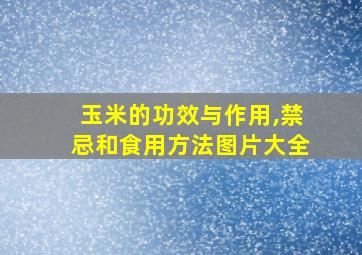 玉米的功效与作用,禁忌和食用方法图片大全