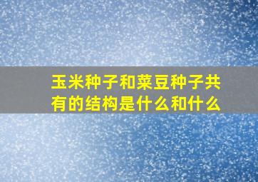 玉米种子和菜豆种子共有的结构是什么和什么