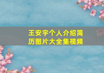 王安宇个人介绍简历图片大全集视频