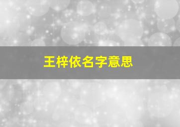 王梓依名字意思