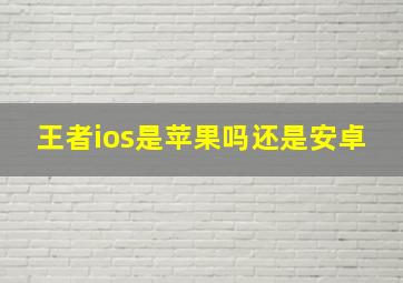 王者ios是苹果吗还是安卓