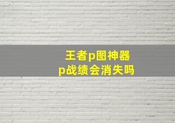 王者p图神器p战绩会消失吗