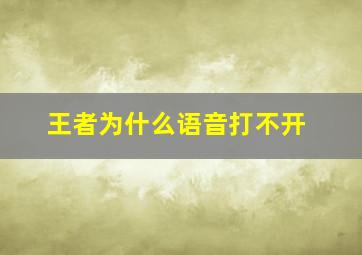 王者为什么语音打不开