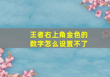 王者右上角金色的数字怎么设置不了