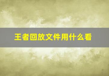 王者回放文件用什么看