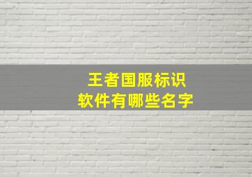 王者国服标识软件有哪些名字