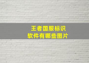 王者国服标识软件有哪些图片