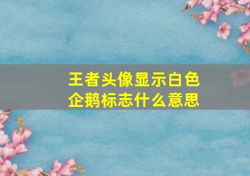 王者头像显示白色企鹅标志什么意思