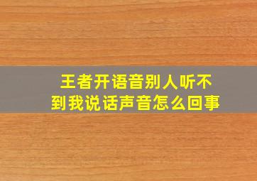 王者开语音别人听不到我说话声音怎么回事