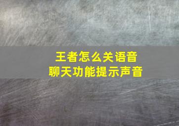 王者怎么关语音聊天功能提示声音