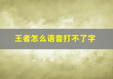 王者怎么语音打不了字