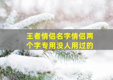 王者情侣名字情侣两个字专用没人用过的