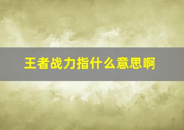 王者战力指什么意思啊