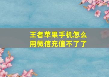 王者苹果手机怎么用微信充值不了了