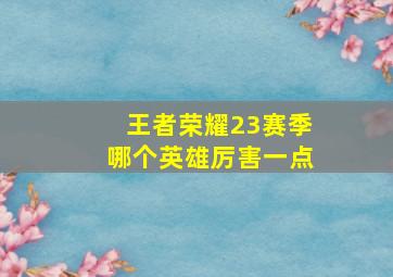 王者荣耀23赛季哪个英雄厉害一点