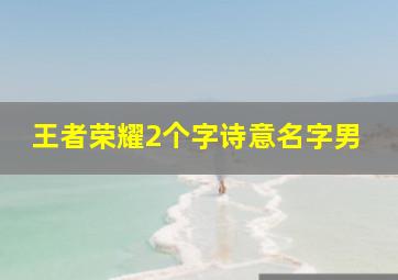 王者荣耀2个字诗意名字男