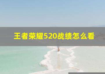 王者荣耀520战绩怎么看