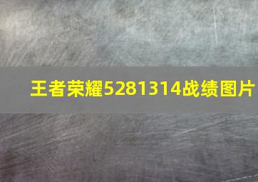 王者荣耀5281314战绩图片