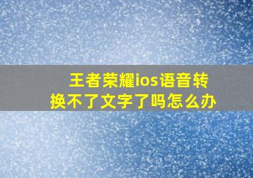 王者荣耀ios语音转换不了文字了吗怎么办