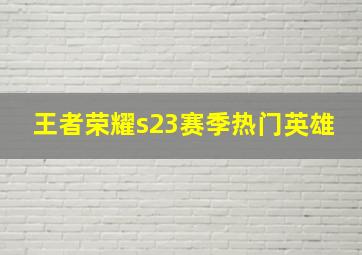 王者荣耀s23赛季热门英雄