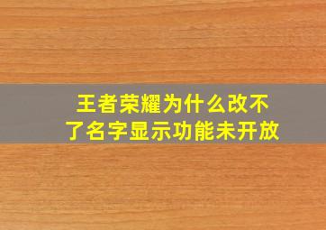 王者荣耀为什么改不了名字显示功能未开放