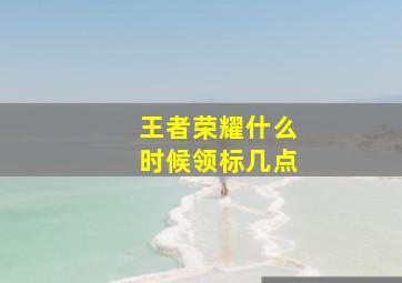 王者荣耀什么时候领标几点