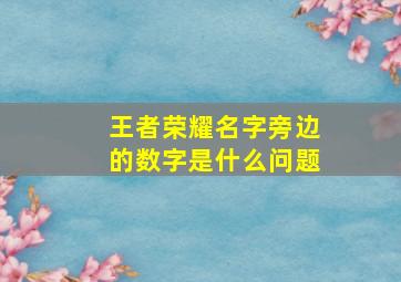 王者荣耀名字旁边的数字是什么问题