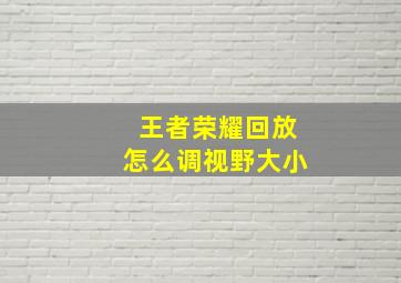 王者荣耀回放怎么调视野大小