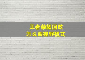 王者荣耀回放怎么调视野模式