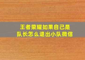 王者荣耀如果自己是队长怎么退出小队微信